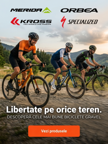 Biciclete gravel 2