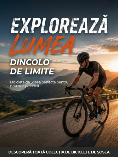 Biciclete Sosea