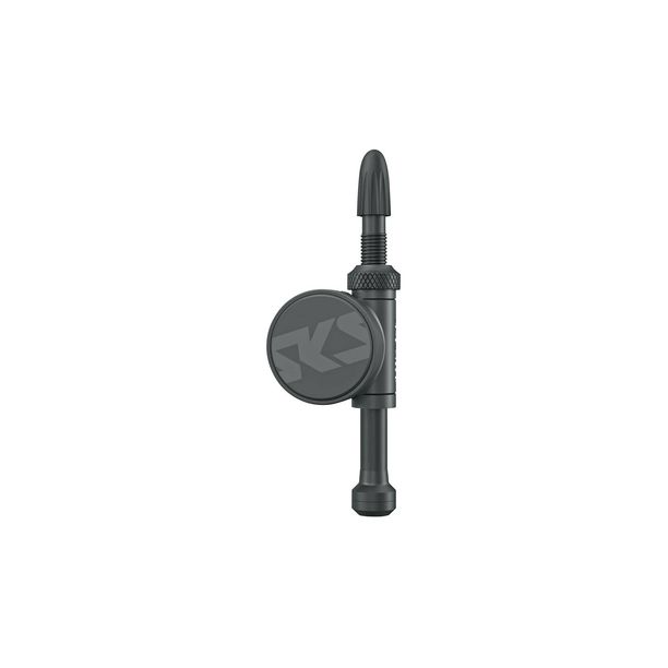 Senzor Presiune Aer SKS Airspy Tubeless 67mm (2 buc.)