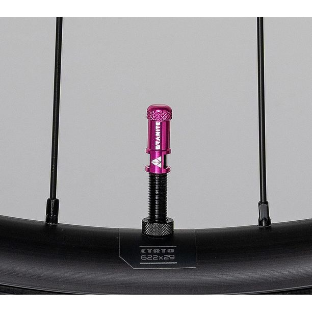 Capac Valva-Ventil 1buc (GVC18-17-50P) Alu CNC valva FV presta functie suplimentara extragere ventil Violet
