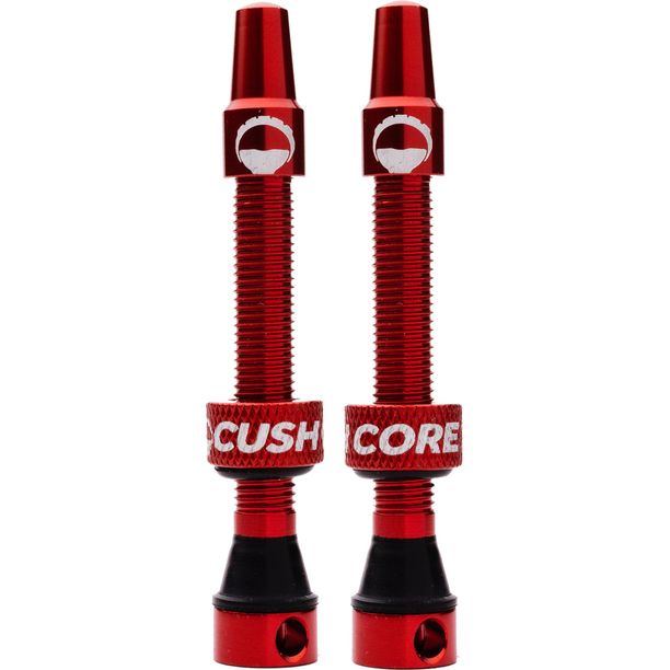 Tubeless valva Presta, 55 mm